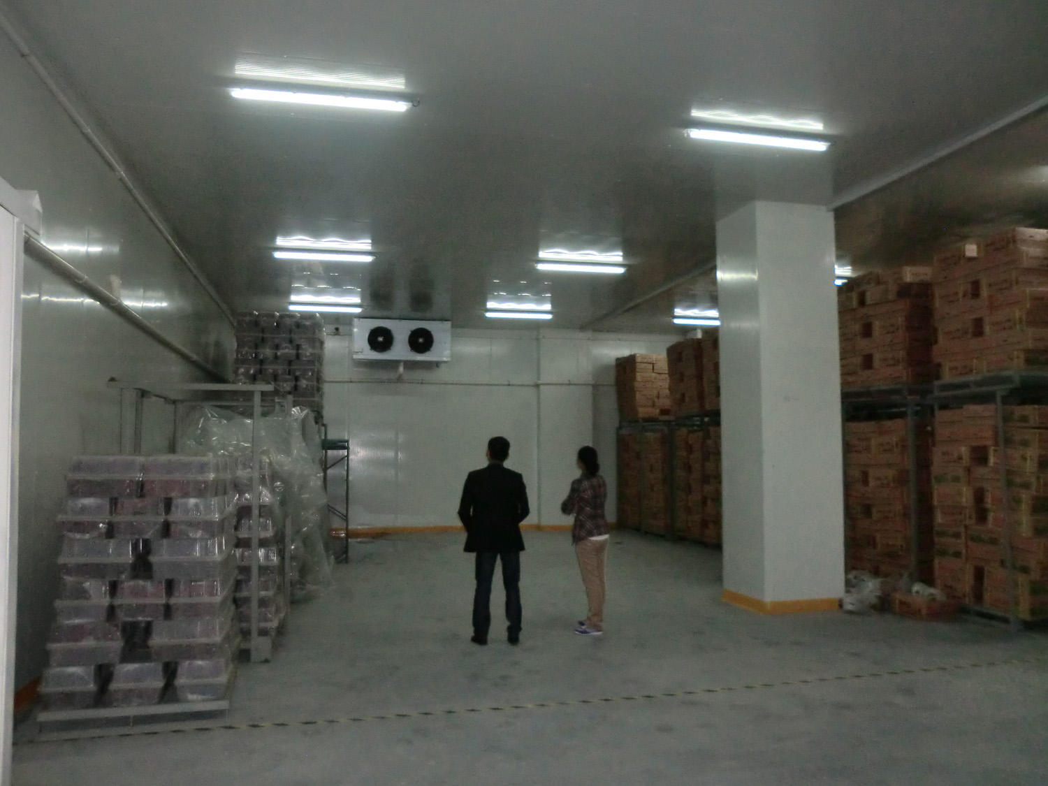 食品冷庫維修保養(yǎng)-上海輝苑商貿有限公司(圖1)
